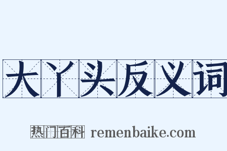 大丫头反义词是什么意思的图片